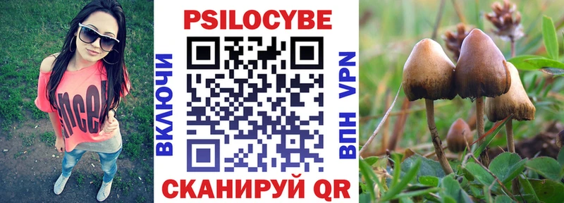 OMG вход  Бирюсинск  Псилоцибиновые грибы Cubensis 