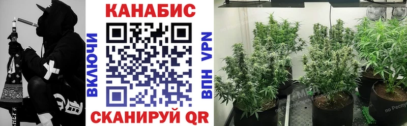 Бошки марихуана сатива  Бирюсинск 
